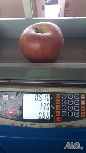 image_2