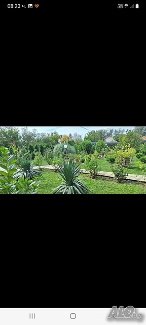 image_12