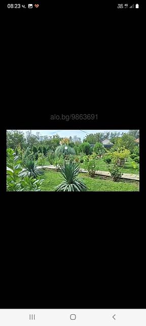 image_15