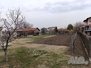 image_5