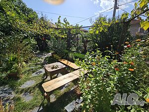 image_15