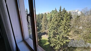 image_11
