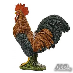 image_6