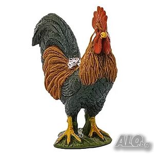 image_7