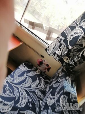 image_5
