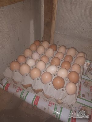 Продавам домашни яйца