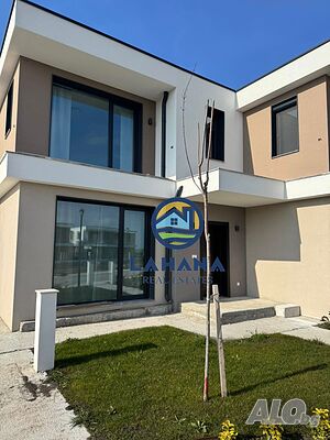 image_11