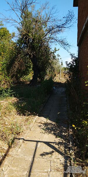 image_11