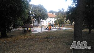 image_6