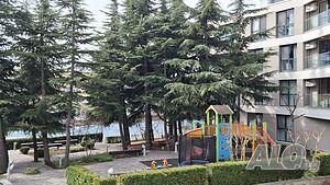 image_25