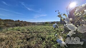 image_19
