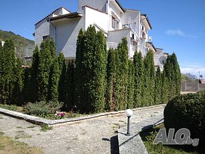 image_9