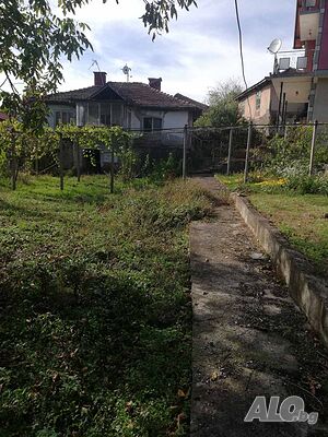 image_7