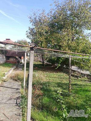 image_9
