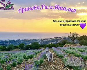 image_10