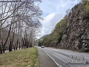 image_9