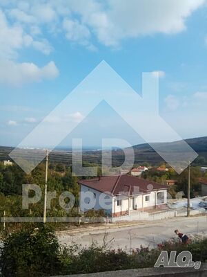 image_11