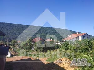 image_13