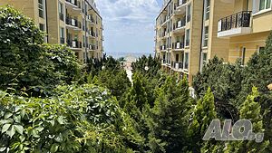 image_12