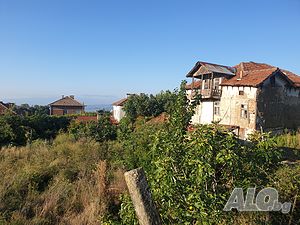 image_9