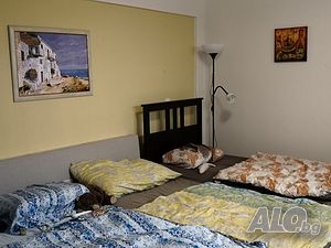 image_8