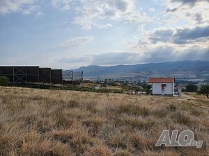 image_11