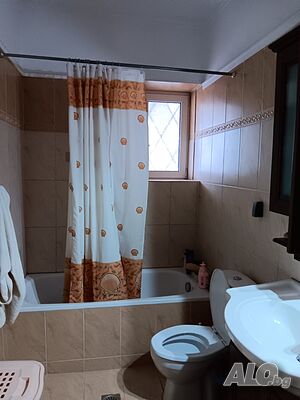 image_11