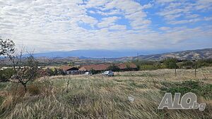 image_11