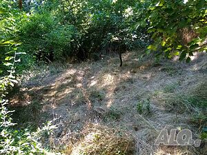 image_8