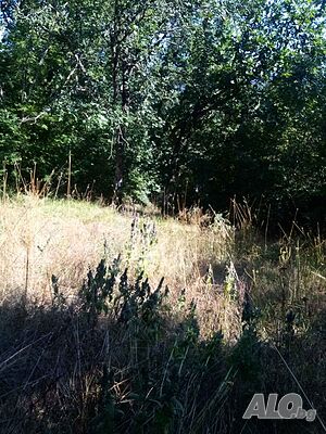 image_13