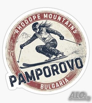 Винтидж Ски - Пампорово Спорт - 170см.