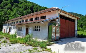 image_5