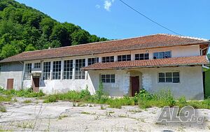 image_6