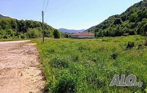image_10