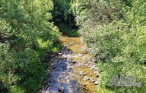 image_13