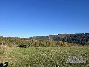 image_6