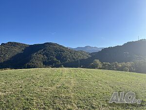 image_7