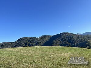image_10