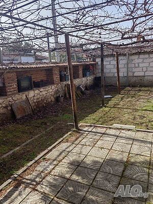 image_9