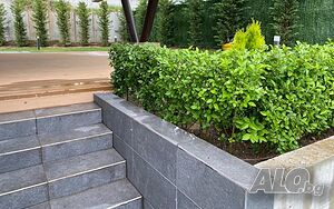 image_4