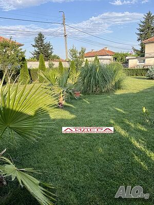 image_5