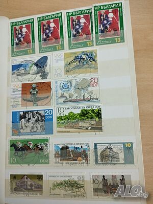image_6
