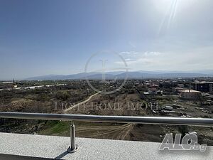 image_11
