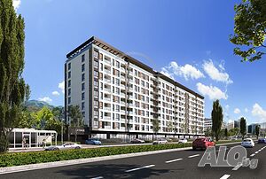 image_6