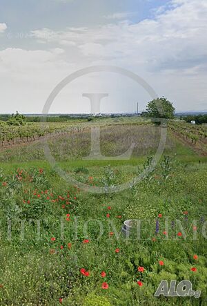 ПАРЦЕЛ БРЕСТНИК