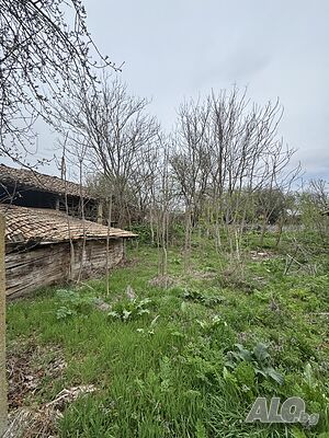 image_7