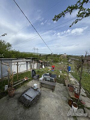 image_9