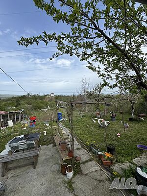 image_10