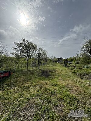 image_15