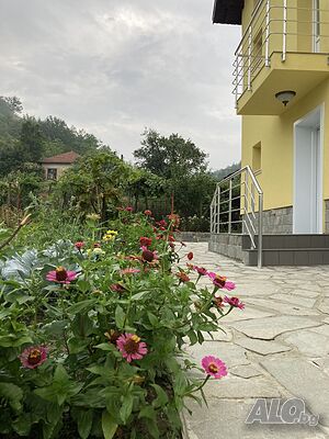 image_29